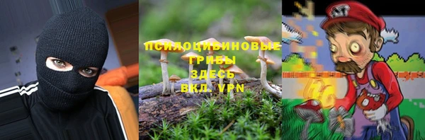 стафф Баксан