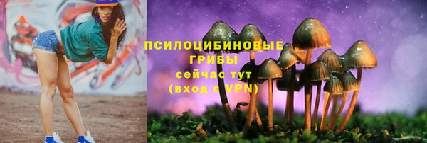 соль курить ск Балабаново