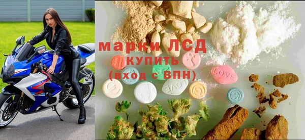 стафф Баксан