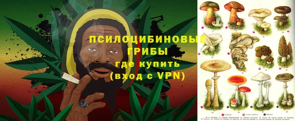 MDMA Premium VHQ Аркадак
