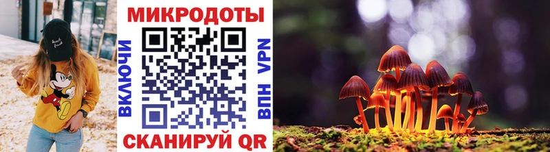 kraken ТОР Ельня Галлюциногенные грибы Magic Shrooms хочу наркоту